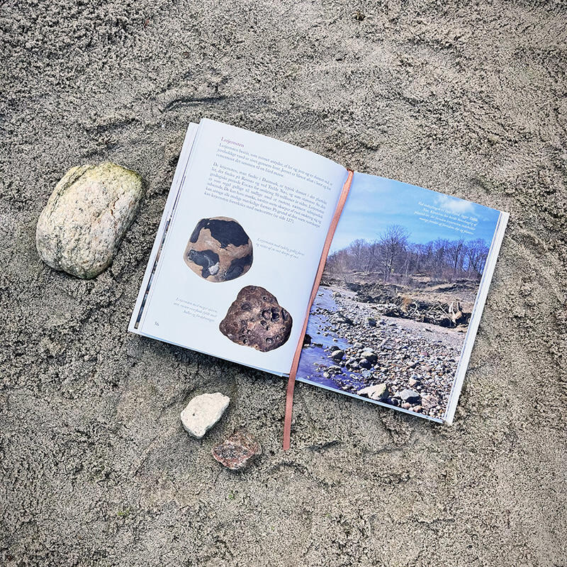 Bog, Sten langs stranden