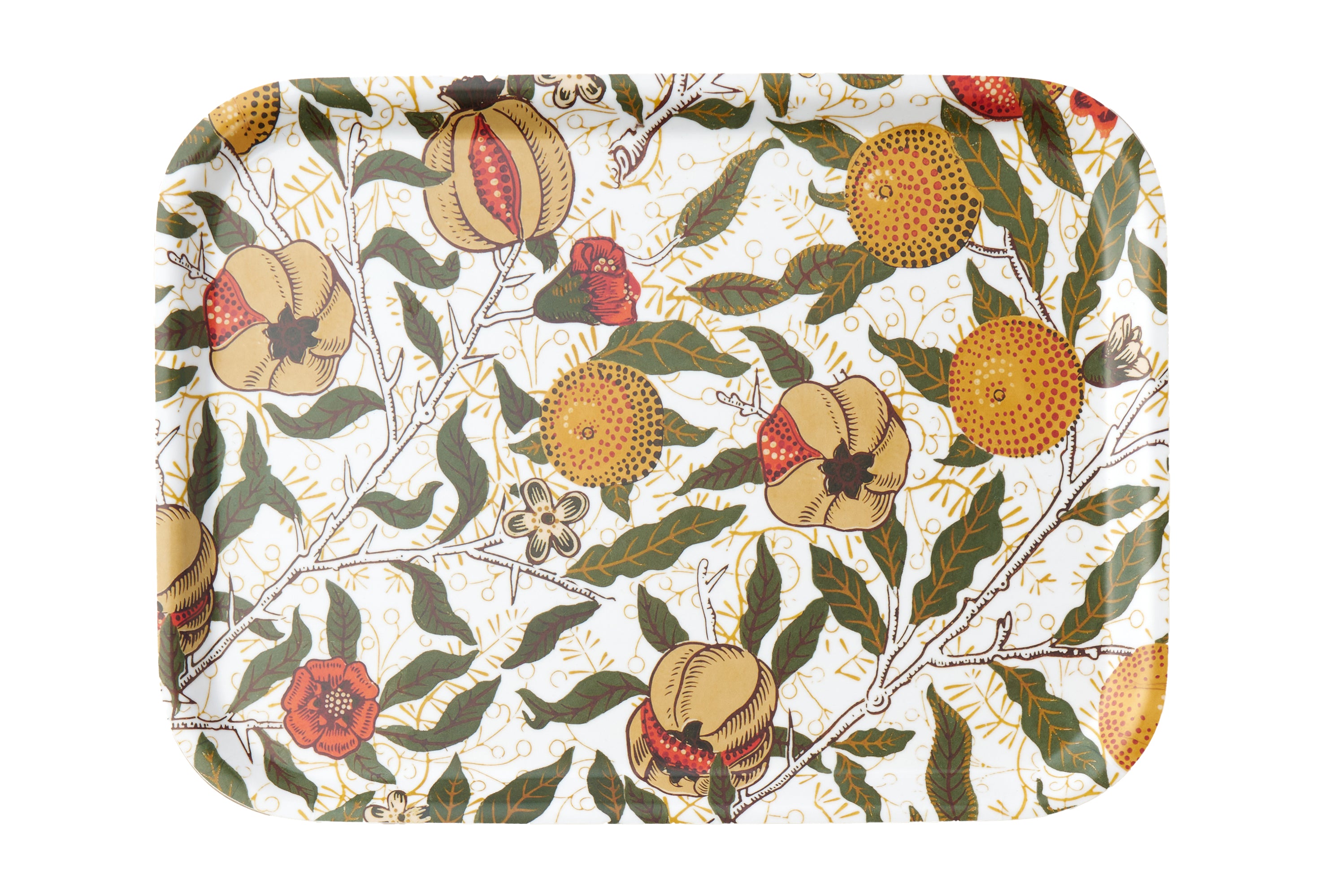 Lamineret bakke 20 x 27 cm, 5 varianter