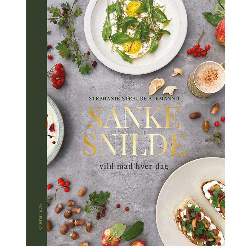 Sankesnilde - Sankemagi i hverdagen