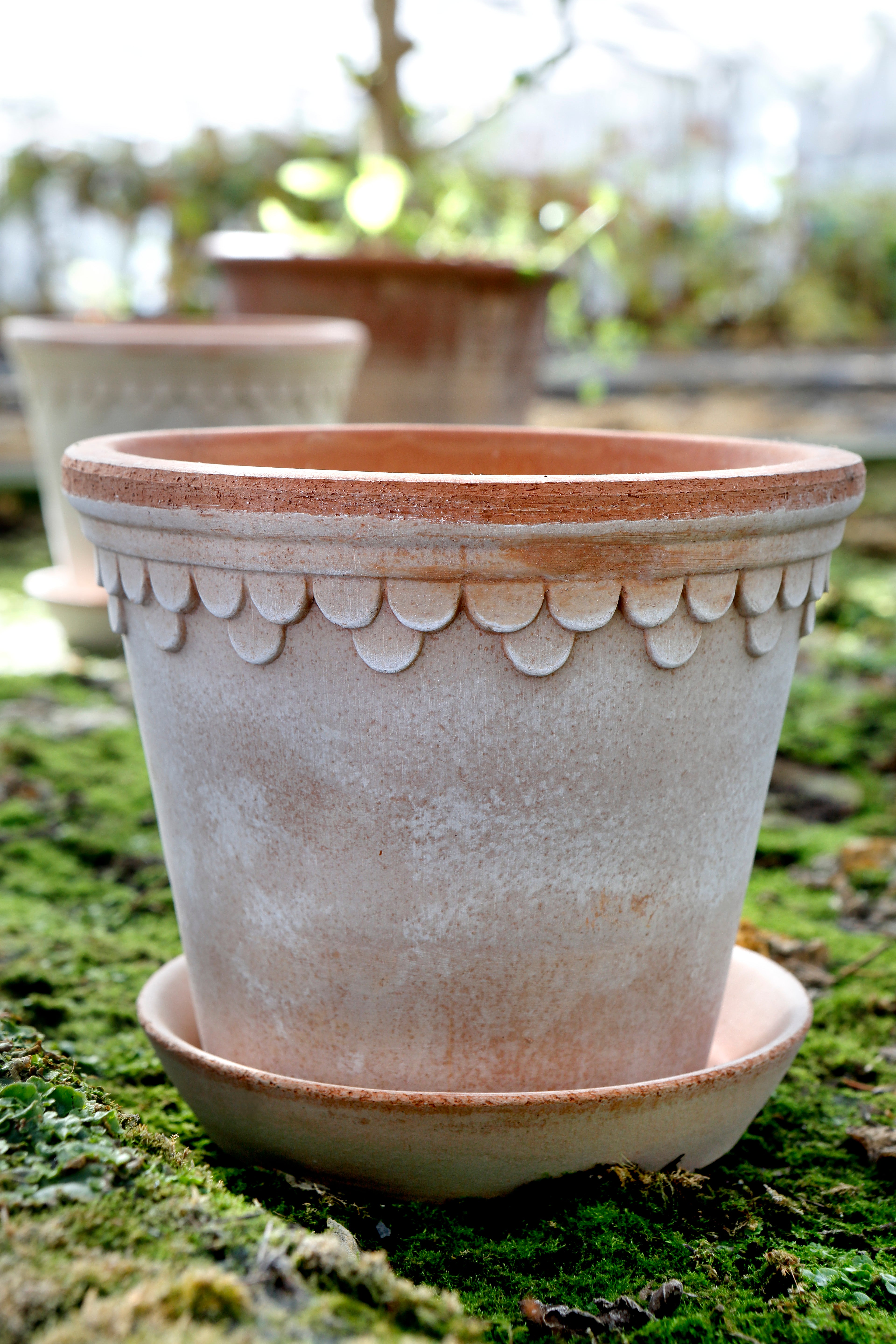 Urtepotter, Københavnerpotten, Ø12 cm