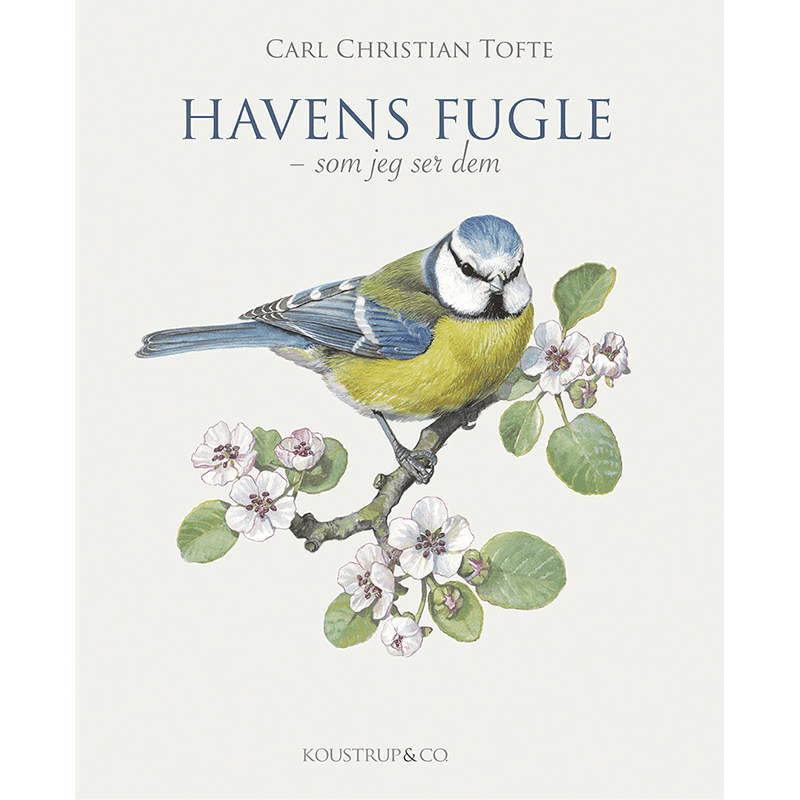 Bog, Havens Fugle - bog om fugleliv