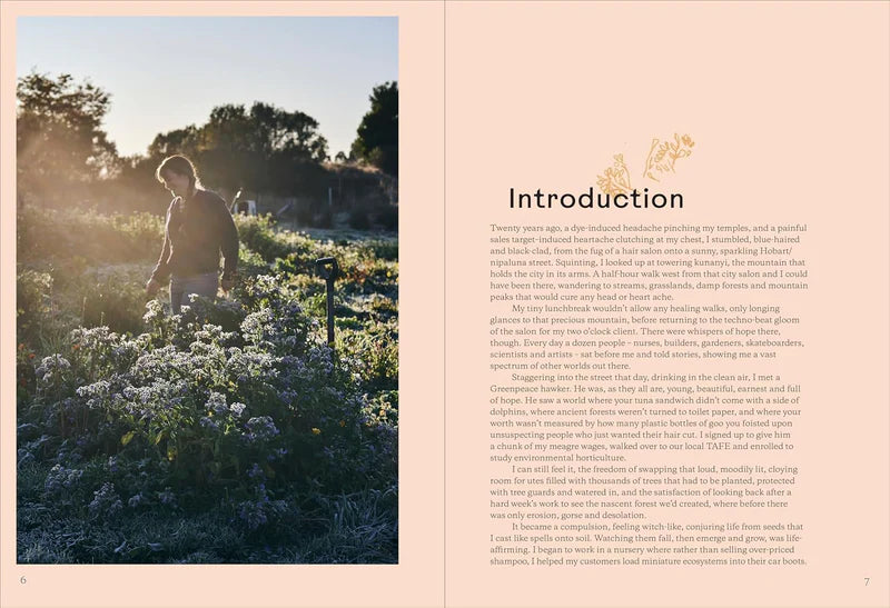 Bog: Broccoli & Other Love Stories