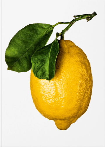 Bog: The Gourmand's Lemon : a collection of Stories and Recipes