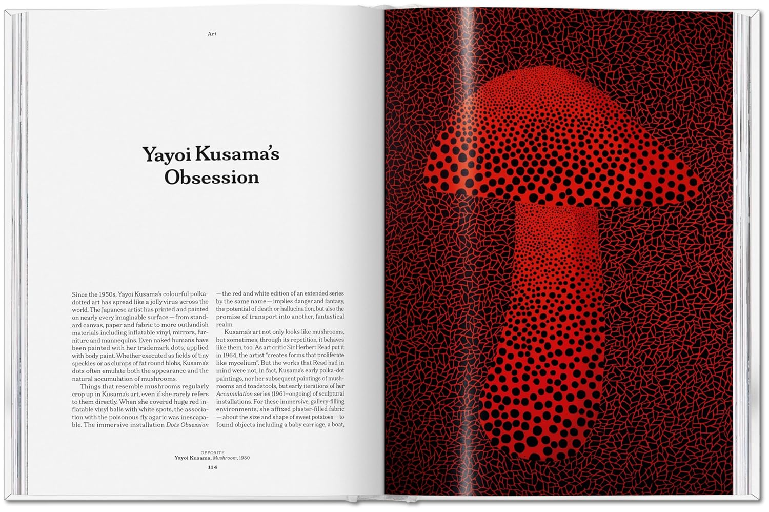 Bog: The Gourmand's Mushroom