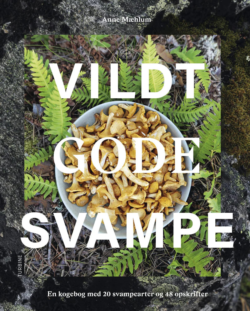 Bog: Vildt Gode Svampe