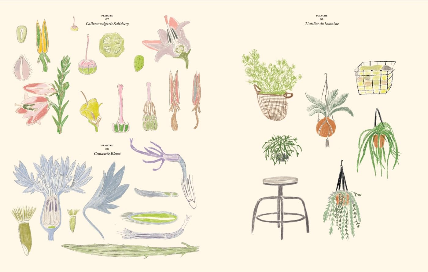 Bog: Le Jardin Coloriages- en malebog også for voksne